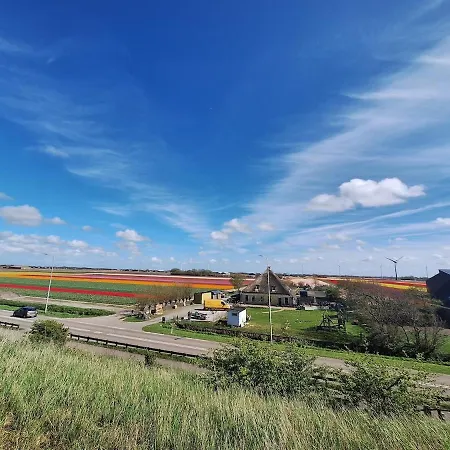 Westerhoeve פטן