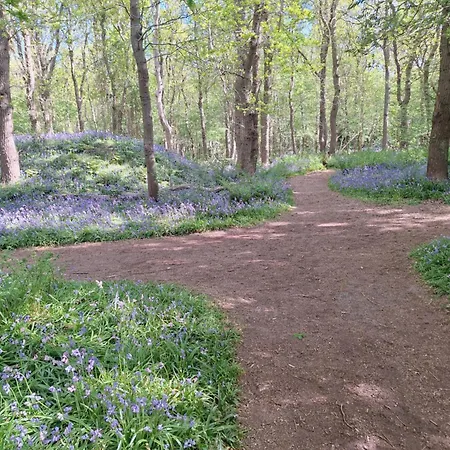 Westerhoeve